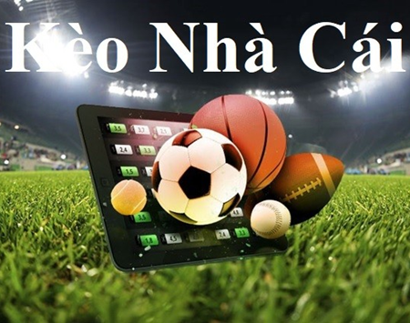 zbet-Cảm nhận mỗi pha bóng – Trực tiếp bóng đá!